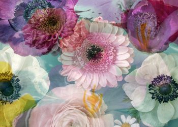 How flowers are always Beneficial?