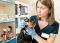 How To Kickstart Your Career In Animal Care?