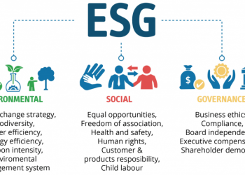 ESG Services: How Does Construction Benefit From This?