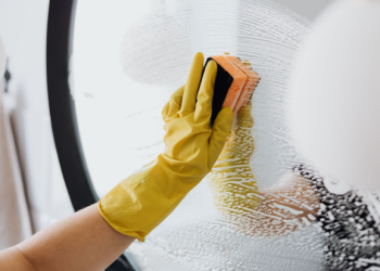 How A Digital Marketing Agency Can Help Your Pest Control Business