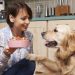 HOW TO CHOOSE THE BEST DOG FOOD
