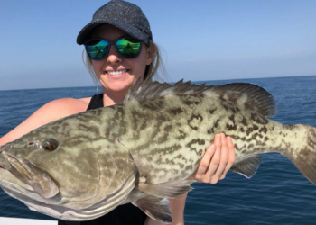 BASICS OF THE FLORIDA RECREATIONAL SALTWATER FISHING REGULATIONS