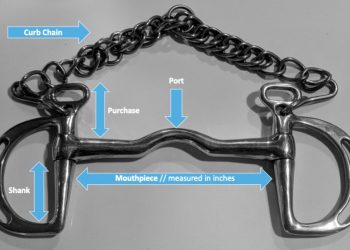 5 Basic Types of Western Bits