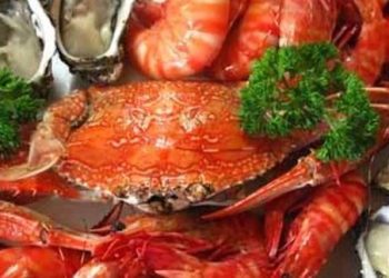 Try the best seafood of your life: Escolar